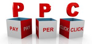 Pay Per Click Company in Jaipur, India